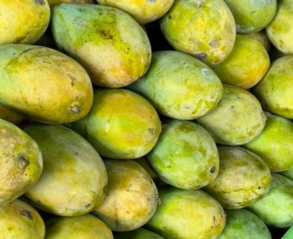 Mangga Harum Manis A 1 Kg
