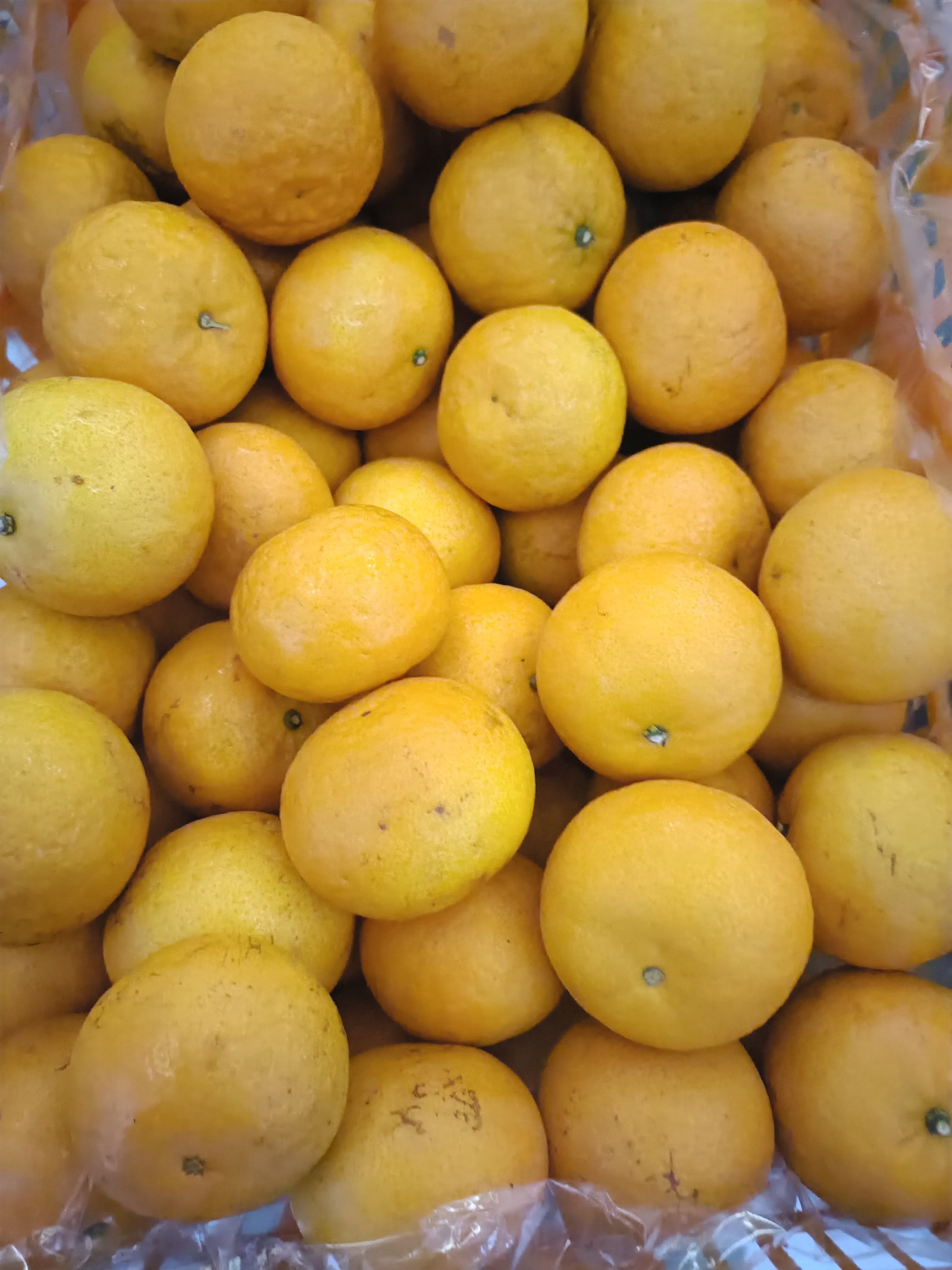 Jeruk Wokam keranjang 1 Kg